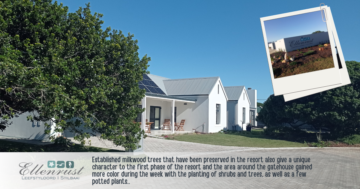 Ellenrust Leefstyloord in Stilbaai